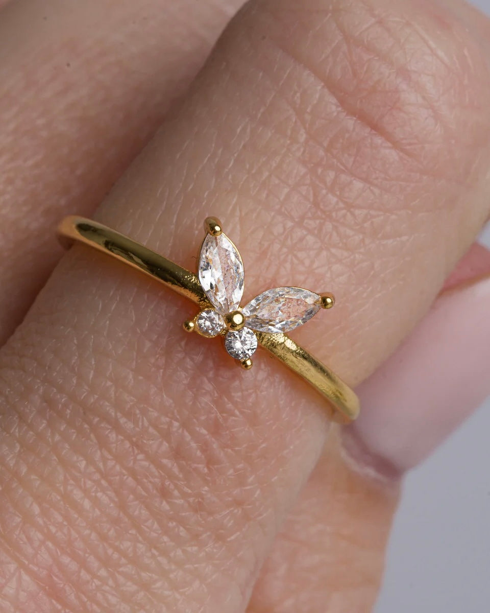 Flutter. Ring